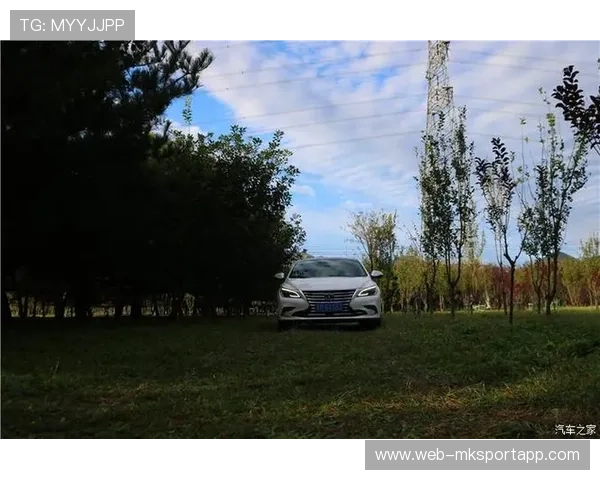 拉力车手加强碎石路段技巧训练，过弯精准度提升