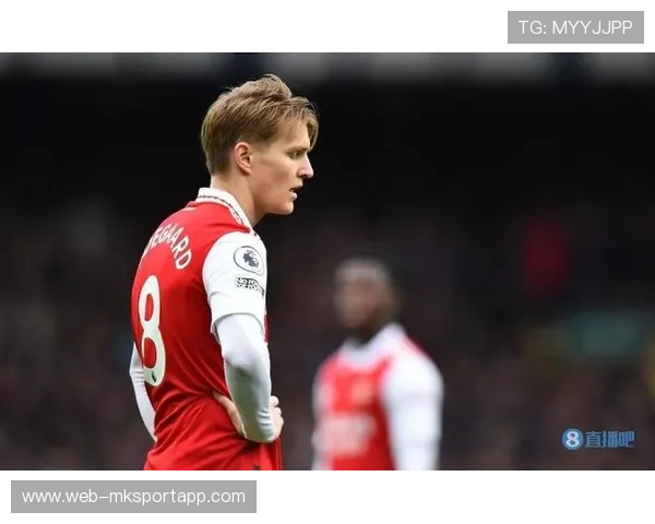 厄德高马赛回旋摆脱防守 厄德高马赛回旋摆脱防守